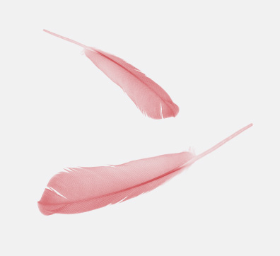 Ligth as a feature in pink
